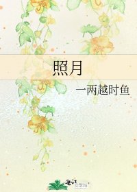 《照月》