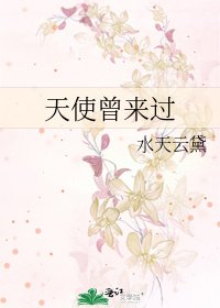 《天使曾来过》