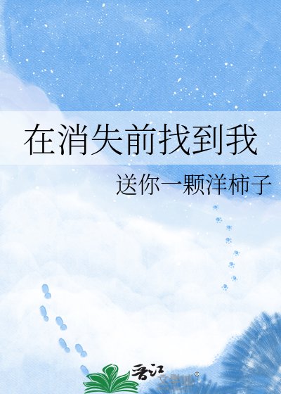 在消失前找到我