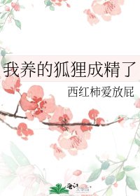 《我養的狐狸成精了》